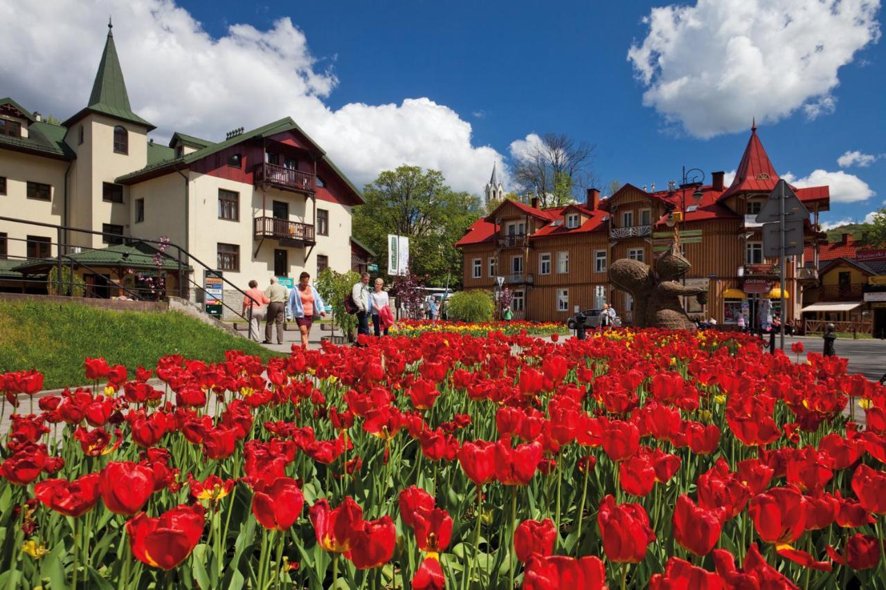 Hotel Schronisko Pttk Orlica Szczawnica Esterno foto