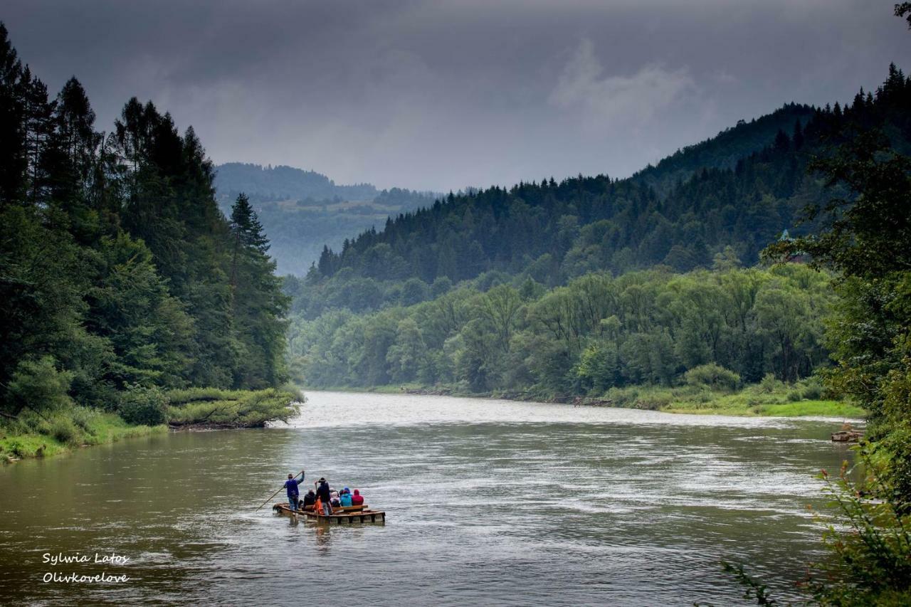 Hotel Schronisko Pttk Orlica Szczawnica Esterno foto